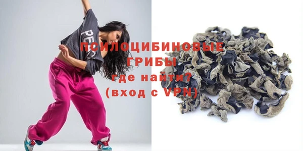 ПСИЛОЦИБИНОВЫЕ ГРИБЫ Лихославль