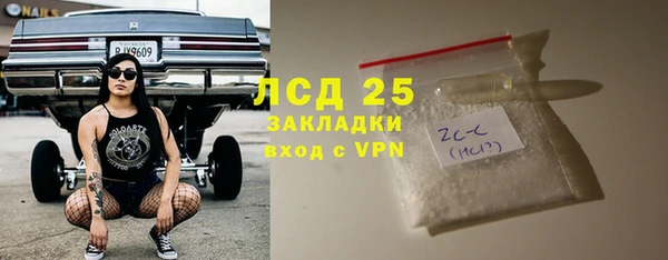 ПСИЛОЦИБИНОВЫЕ ГРИБЫ Лихославль