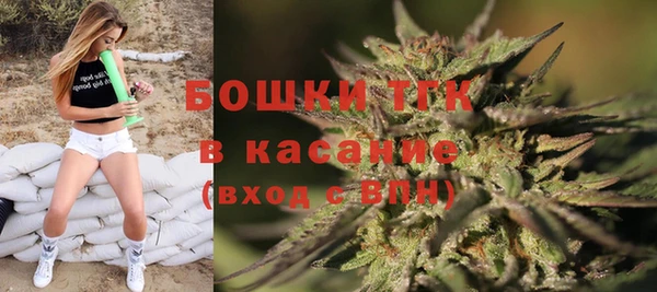 эйфоретик Новозыбков