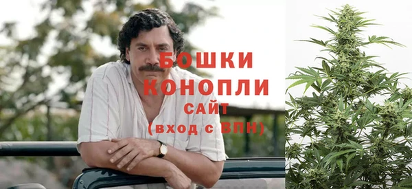 ПСИЛОЦИБИНОВЫЕ ГРИБЫ Лихославль