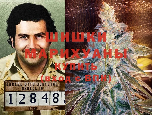 ПСИЛОЦИБИНОВЫЕ ГРИБЫ Лиски