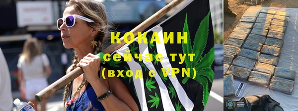 ПСИЛОЦИБИНОВЫЕ ГРИБЫ Лиски