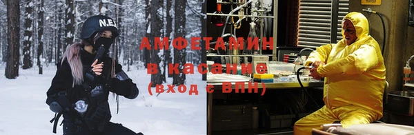 ПСИЛОЦИБИНОВЫЕ ГРИБЫ Лихославль