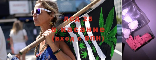 ПСИЛОЦИБИНОВЫЕ ГРИБЫ Лихославль